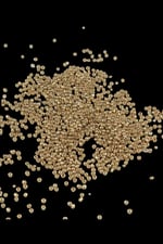 08 Kum 3 mm Kaplama Altın Sarı Boncuk (90 Gr)