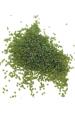 08 Kum Boncuk Az Janjan Yeşil 3 mm (85 Gr)