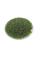 08 Kum Boncuk Az Janjan Yeşil 3 mm (85 Gr)