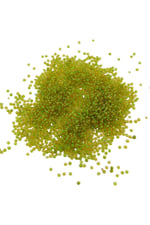 08 Kum Boncuk İçten Boyalı Fıstık Yeşil 3 mm (80 Gr)