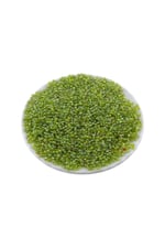08 Kum Boncuk Janjan Fıstık Yeşili 3 mm (100 Gr 6000 Adet)
