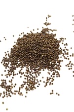 08 Kum Boncuk Kaplama Gold Rengi 3 mm (100 Gr 6000 Adet)