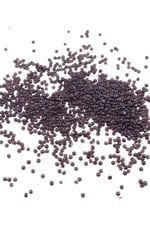08 Kum Koyu Mürdüm Boncuk 3 mm (100 Gr 6000 Adet)