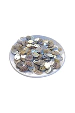 10x14 mm Çift Delikli Düğme (20 Adet)