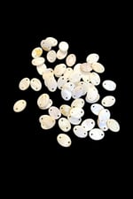 10x14 mm Oval Çift Delikli Krem Pul Doğal Taş Boncuk (25 Adet)