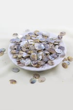10x14 mm Yandan Delikli Oval Pul Doğaş Taş (20 Adet)