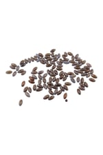12x5 mm Oval Kahverengi İçten Delikli Boncuk Aksesuar Takı Malzemesi (20 Adet)