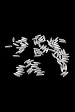 18x6 mm Arpa Boncuk Gri Plastik Boyalı (75 Adet)