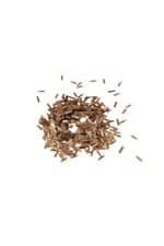 2x8 mm Bakır Diktörtgen Çift Delikli Plastik Pul Payet 30 Gr (Tülbent, Oya, Havlu Malzemesi)
