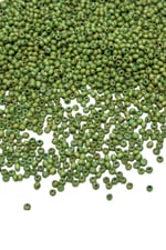 3 mm Fıstık Yeşil Ahşap Boncuk 35 gr