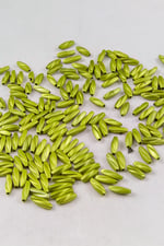 4x13 mm Fıstık Yeşil Özel Desen Arpa Boncuk Aksesuar (25 Gram)