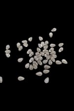 8x13 mm Damla Vizon Tonunda Akrilik Boncuk (25 gr 60 Adet)