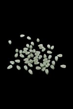 Açık Yeşil Tonunda 8x15 mm Akrilik Boncuk (25 gr 40 Adet)
