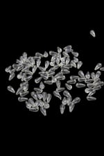 Akrilik Damla Boncuk 7x14 mm Açık Bal Rengi Boncuk (25 gr 70 Adet)