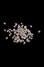 Damla Açık Vizon 7x14 mm Akrilik Boncuk (25 gr 70 Adet)