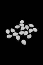 Deliksiz 19x27 mm Deri Kaplama Aksesuar Boncuk (5 Adet)