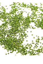 Güzel Yeşil 3 mm Plastik Boncuk Aksesuar Takı Malzemesi (25 Gr)