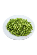 Güzel Yeşil 3 mm Plastik Boncuk Aksesuar Takı Malzemesi (25 Gr)