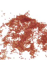 İçten Boyalı Kırmızı (11/0) 2 mm Kum Boncuğu 100 gr