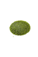 İçten Siyah Boyalı Yeşil (11/0) 2 Mm Kum Boncuğu 100 gr