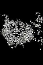 İnci Arpa Boncuk Gümüş Kaplama 3 mm (20 Gr Ortalama 600 Adet)