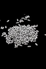 İnci Arpa Boncuk Gümüş Soba Boyalı 4x8 mm (20 Gr Ortalama 300 Adet)