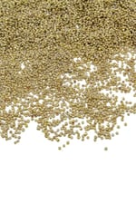 Kaplama Altın (11/0) 2 mm Kum Boncuğu 100 gr