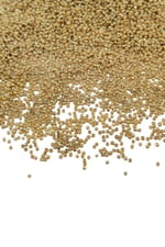 Kaplama Light Gold (11/0) 2 mm Kum Boncuğu 100 gr