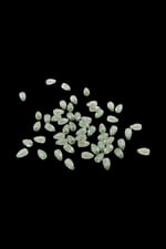 Koyu Yeşil Tonunda 8x12 mm Akrilik Boncuk (25 gr 60 Adet)