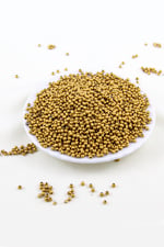 Mat Gold 3 mm Plastik İnci Boncuk Takı Aksesuar Malzemesi (25 Gr)