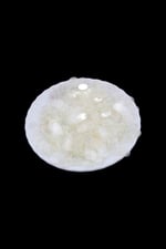 Şeffaf 10 mm Yandan Delikli Plastik Pul Payet 30 Gr (Tülbent, Oya, Havlu Malzemesi)