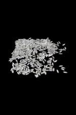 Yaprak Şekilli 11x4 mm Metal Pirinç Pul Payet (16 Gr 155 Adet)