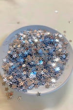 Yıldız Gümüş 5 mm Ortadan Delikli Pul Payet 25 Gr (Tülbent, Oya, Havlu Malzemesi)