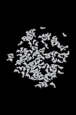 Yunus Balık Aksesuar 12x6 mm Boncuk (20 Adet)