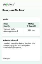 Karnıyarık Otu Tozu
