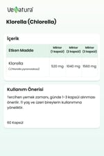 Klorella (Chlorella)