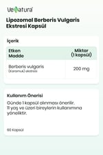 Lipozomal Berberis Vulgaris Ekstresi Kapsül