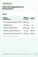Peain PEA, Magnezyum Ve B Vitaminleri