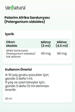 Pelarim Pelargonium Sidoides Afrika Sardunyası (Afrika Sardunyası)