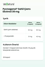 Pycnogenol® Sahil Çamı Ekstresi 30 mg