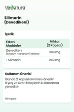 Silimarin (Devedikeni)