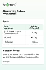 Standardize Rodiola Kök Ekstresi