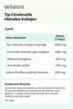 Tip II Enzimatik Hidrolize Kollajen