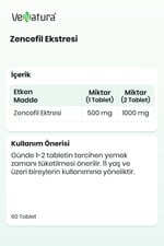 Zencefil Ekstresi