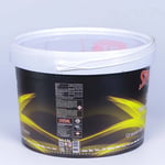 Speedol CSG Sarı Gres Yağı 4 KG