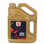 TP BORNİT 20W/50 3 LT