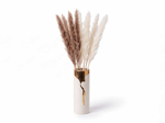 80 CM 10 LU PAMPAS
