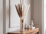 80 CM 10 LU PAMPAS