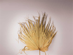 80CM YAPAY ÇİÇEK
