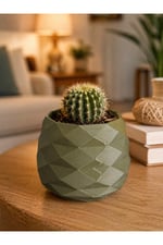 Geometrik Mini Kaktüs Saksısı | Dekoratif Masa Üstü Saksı | 3D Baskı